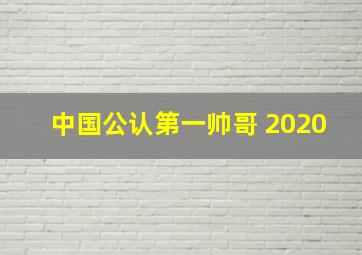 中国公认第一帅哥 2020